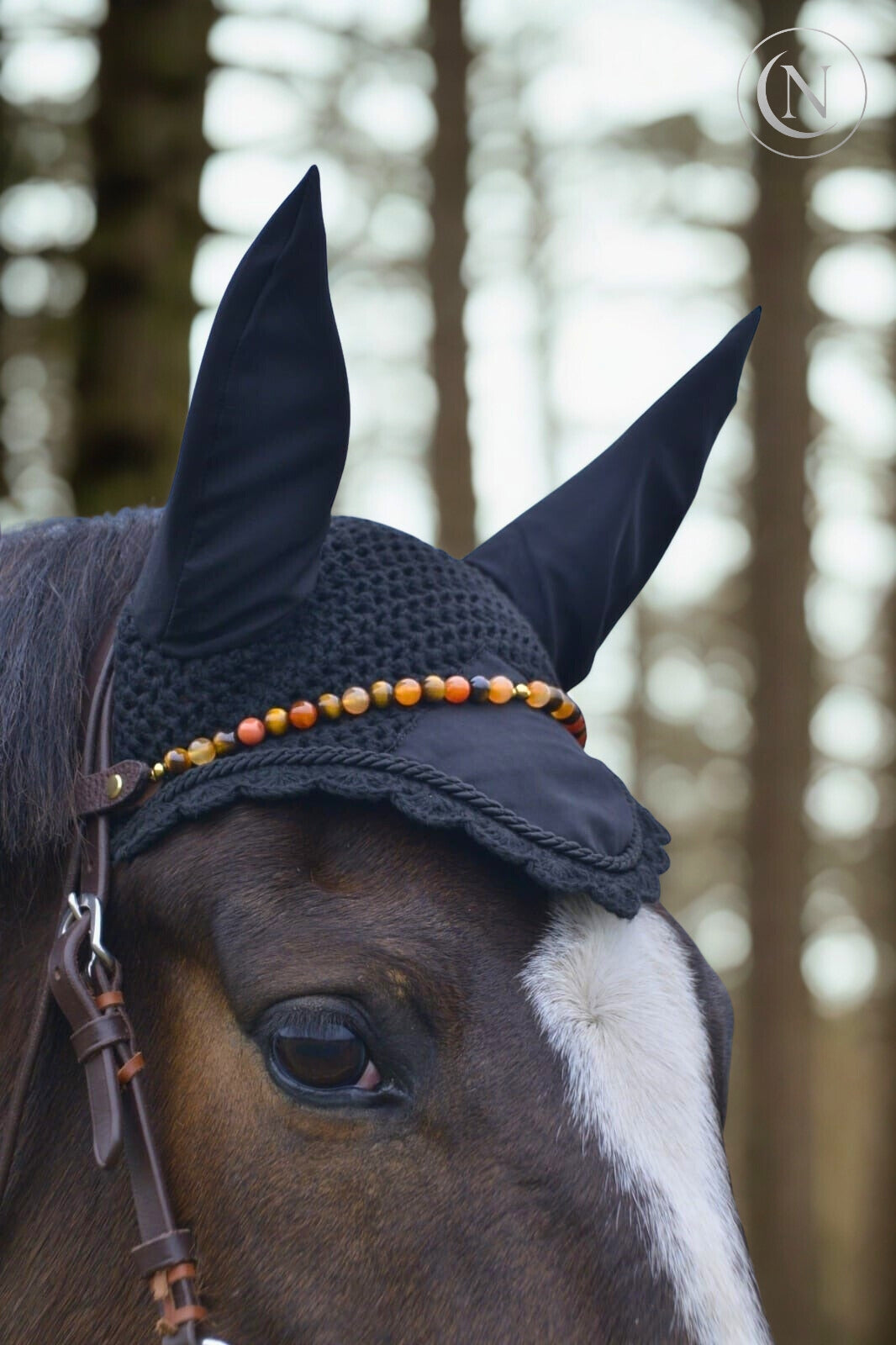 Frontal Dynarys - Manque d'énergie/Motivation