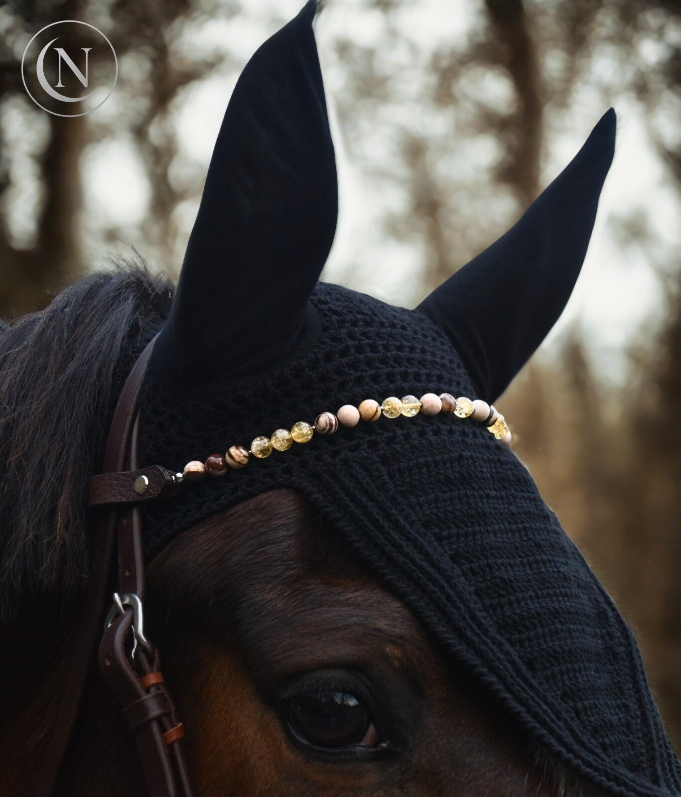 Frontal  Equilyra- Inconfort digestif