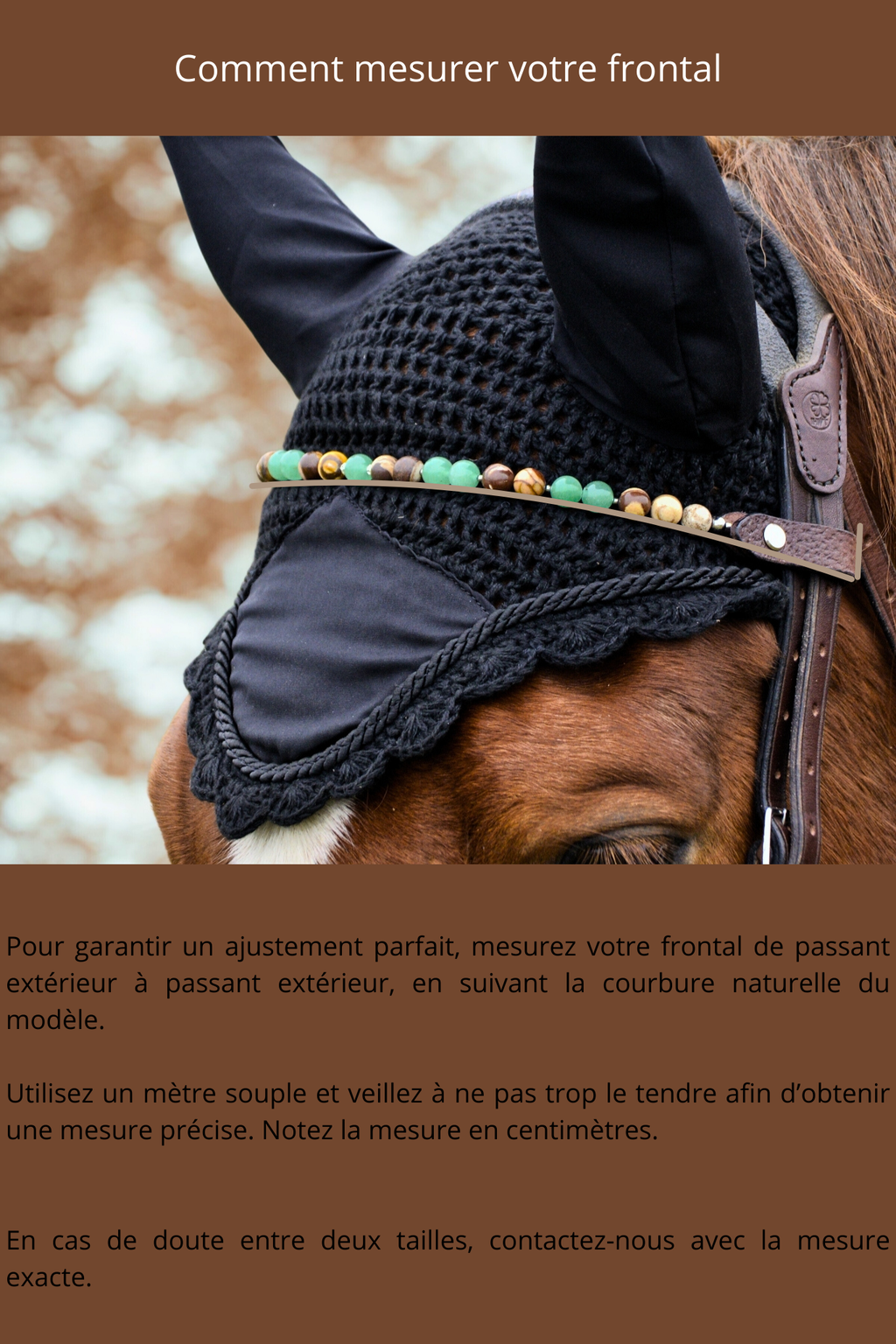 Frontal Arthoryn - Chevaux âgés/Articulations sensibles