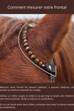 Frontal Velior - Lien cheval/cavalier